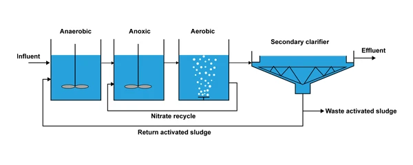 AAO system influent, effluent, nitrate recycle, and returned sludge