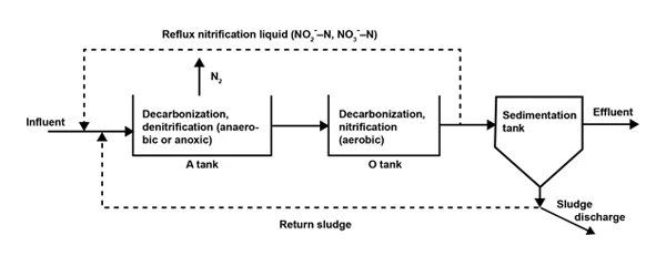 Reaction principles of the AO process in anoxic and aerobic zones