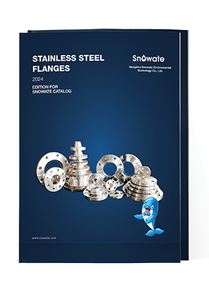 The data sheet cover of butt weld flange.