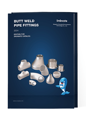 The data sheet cover of butt weld pipe fittings.