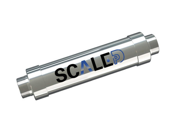 1 DPSE anti-scale device