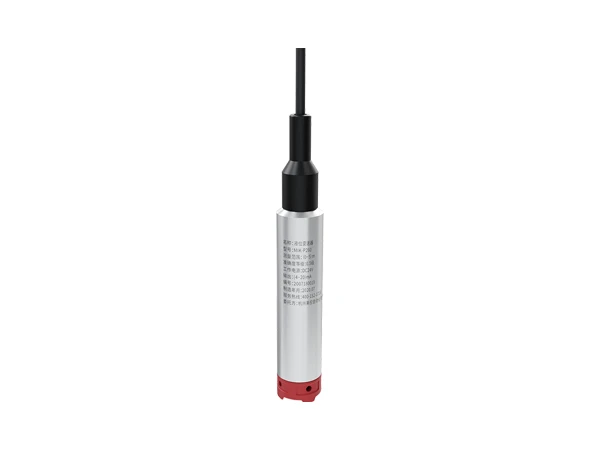 A submersible level sensor