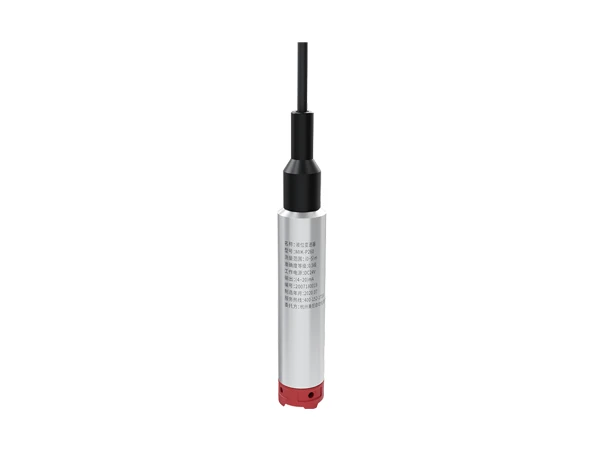 A submersible level sensor