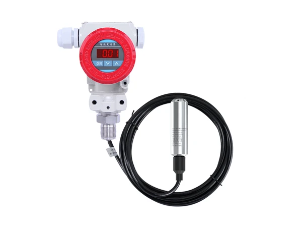 A submersible level sensor