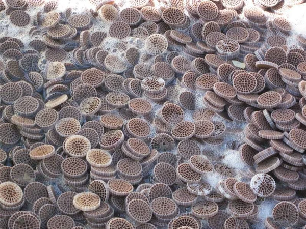 Many MBBR bio filter media have already formed biofilm.