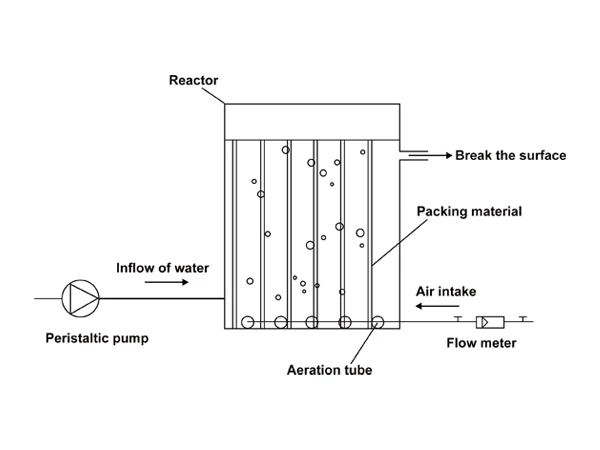 An MBBR reactor