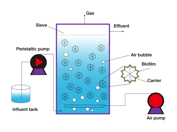 Pollutants in water being treated in an MBBR reactor