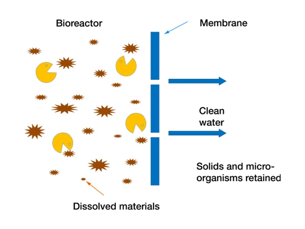It describes the principle of wastewater pollutants being retained in the membrane bioreactor.
