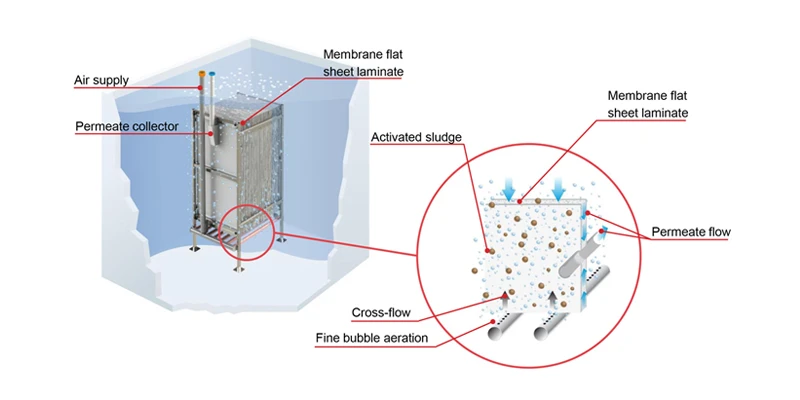 Wastewater removal and separation process in membrane module
