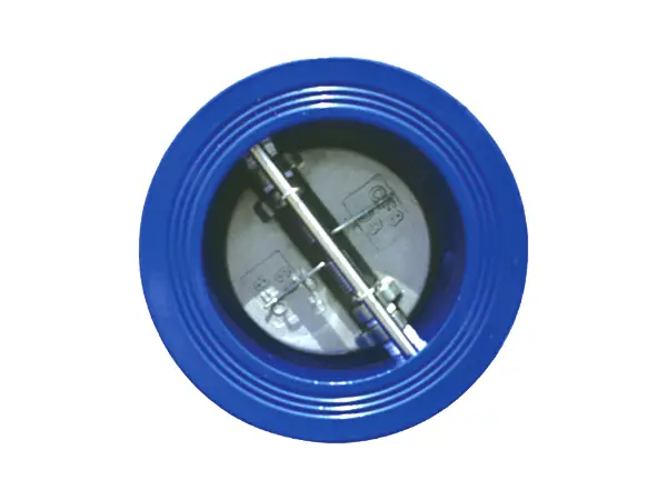 A horizontally installed cast iron check valve