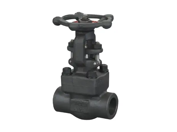 An inclined-mounted female thread and socket gate valve