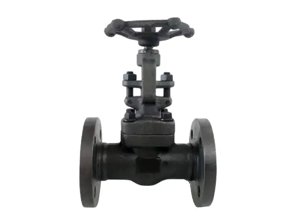 A forward-mounted forged steel flange metal gate valve