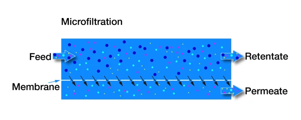 Removal of pollutants from water by microfiltration membrane