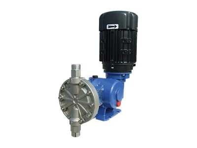 A MS1 series SEKO mechanical diaphragm dosing pump