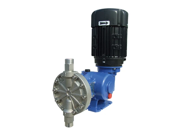 A MS1 series SEKO mechanical diaphragm dosing pump