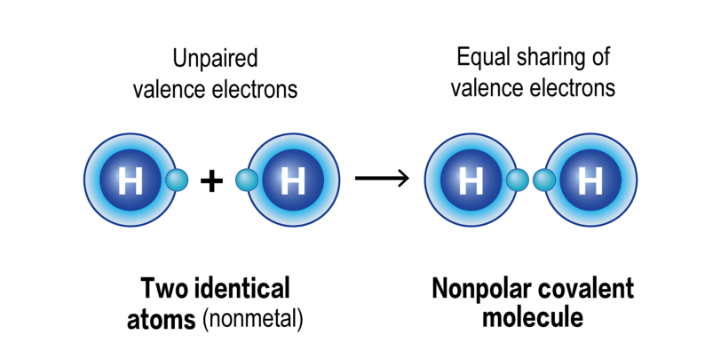 The absorption process of non-polar macroporous adsorption resins