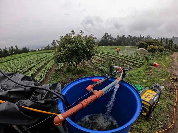Purifying agricultural irrigation water with ozone generator