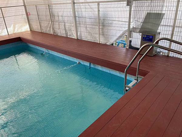 An ozone generator for pool water disinfection