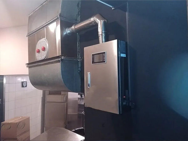 Ozone generator installed in ventilation ducts