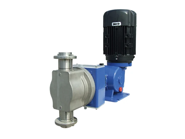 A PS1 series SEKO plunger dosing pump positioned at an angle
