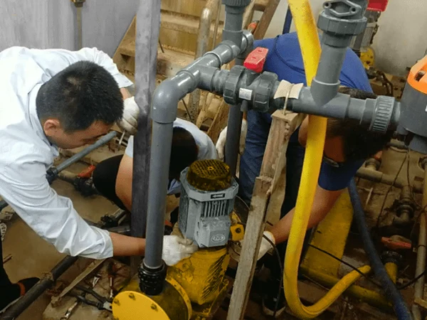 Técnico está realizando la inspección de una bomba dosificadora de diafragma mecánico.
