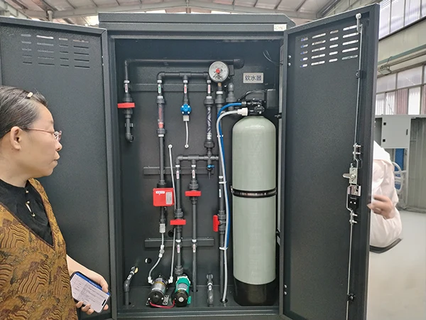 Sales staff learning about the internal structure of the sodium hypochlorite generator on-site