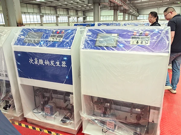 Sales staff inspecting the packaging of the sodium hypochlorite generator