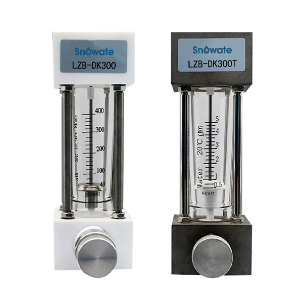 Two SR LZB-DK300 series glass tube rotameters.