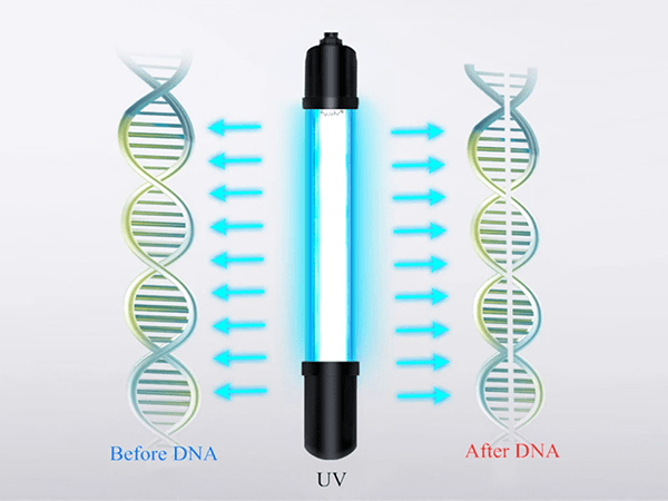 UV lamp sterilization diagram