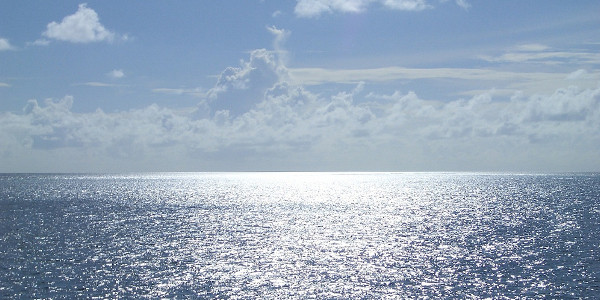 Una hoja de agua de mar