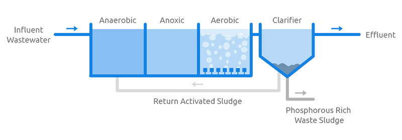 An AAO system flow chart of wastewater treatment.