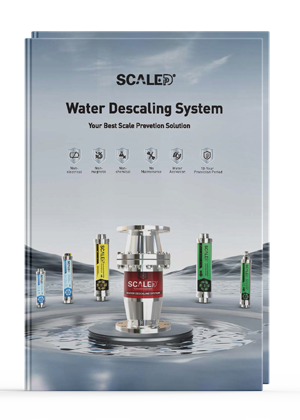 Different kinds of water descalers
